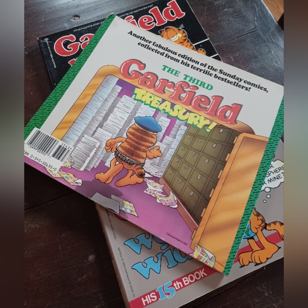 Vintage 80s Jim Davis Garfield orange cat comic book collection 3 cartoon books